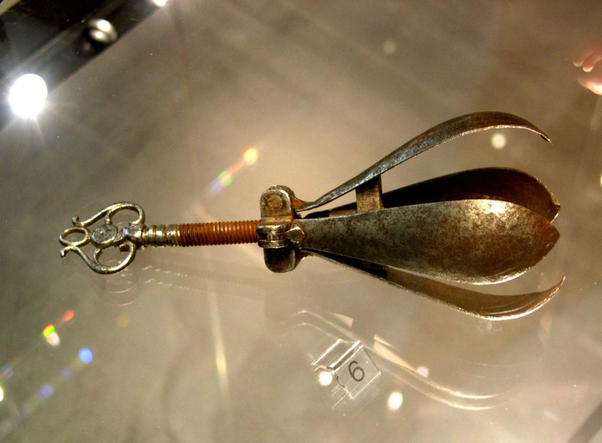 The Bizarre History of the Pear of Anguish