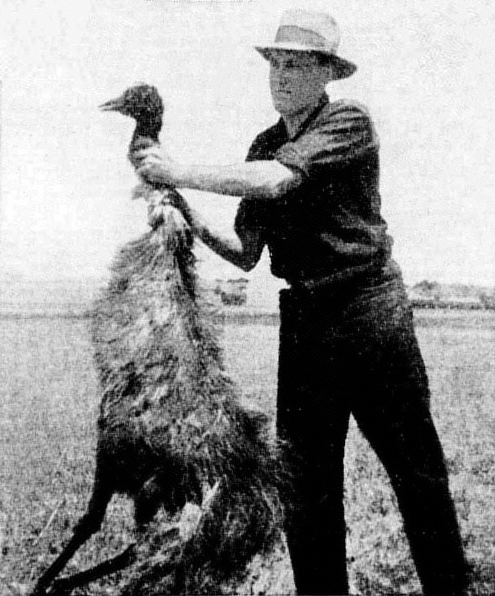 A man holding an emu killed by Australian soldiers