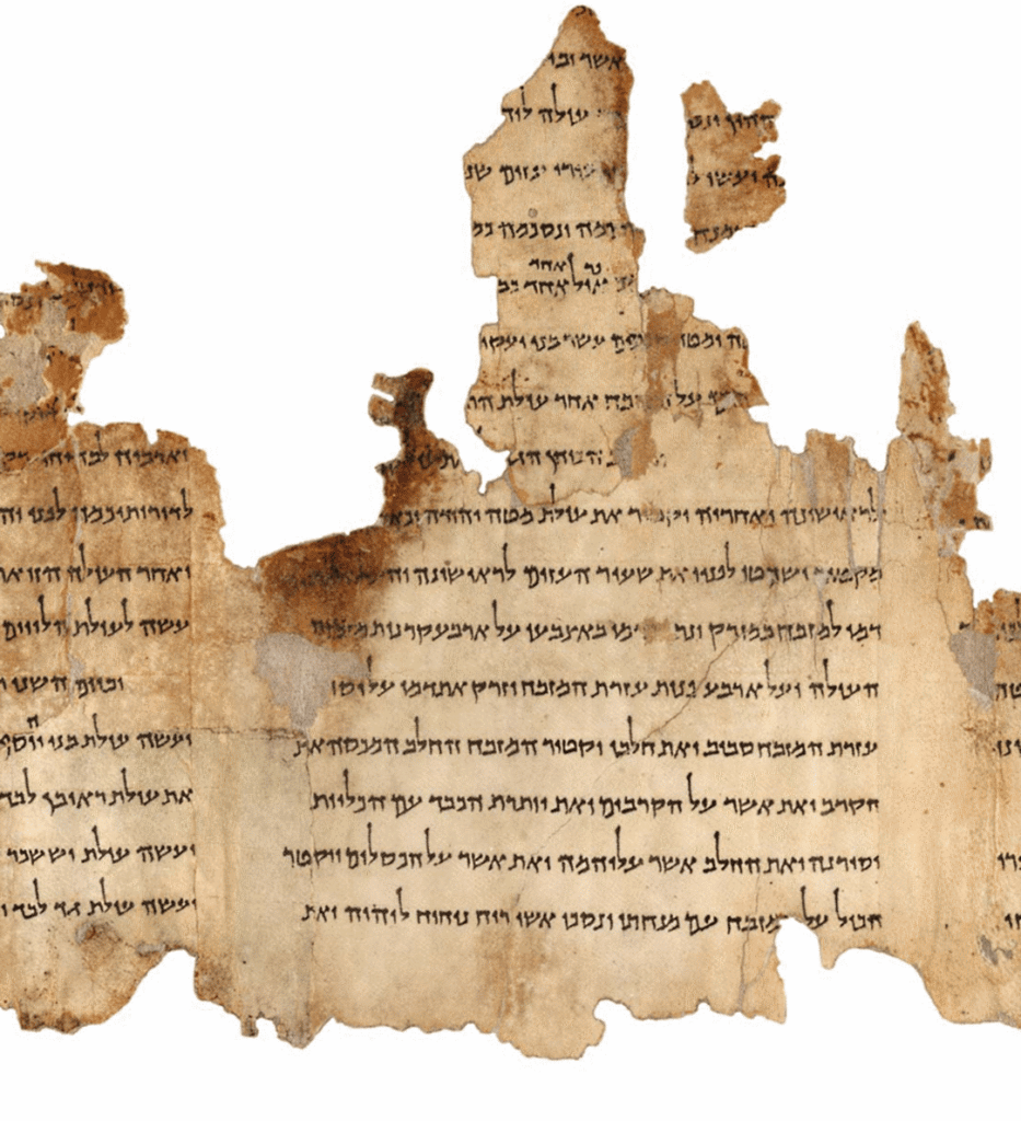 Portion of the Temple Scroll, labeled 11Q19
