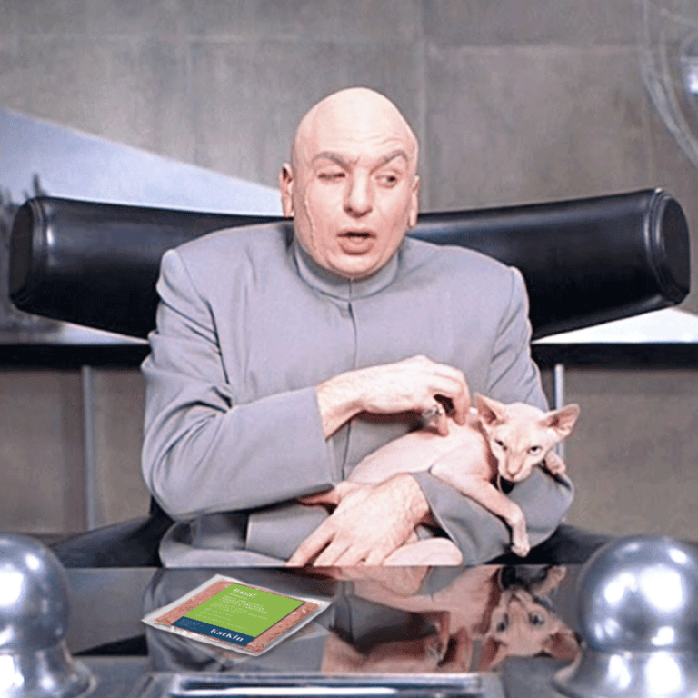 10 of The Most Famous Cats in History