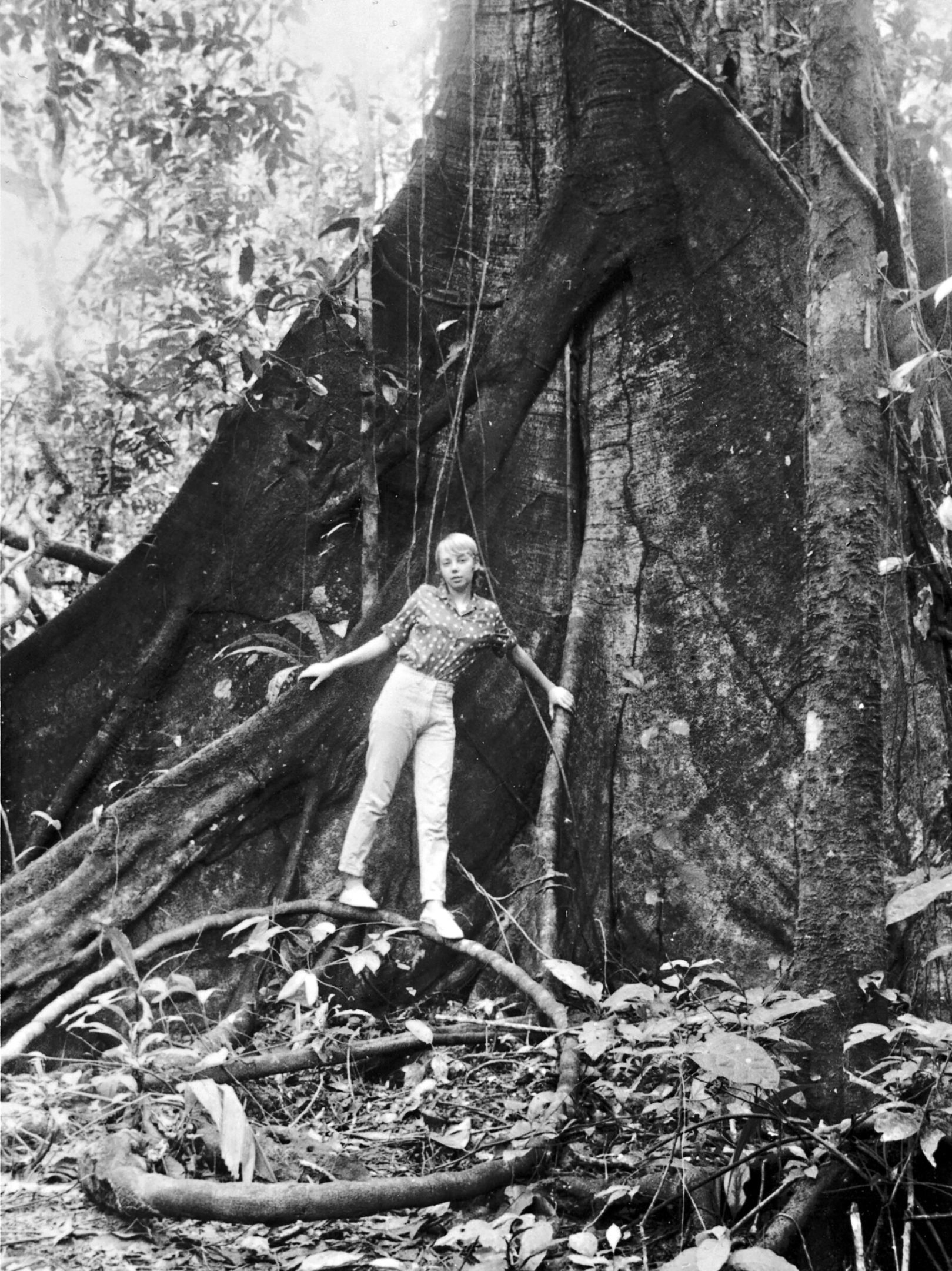 Juliane Koepcke: A Plane Crash and 11 Days in the Jungle