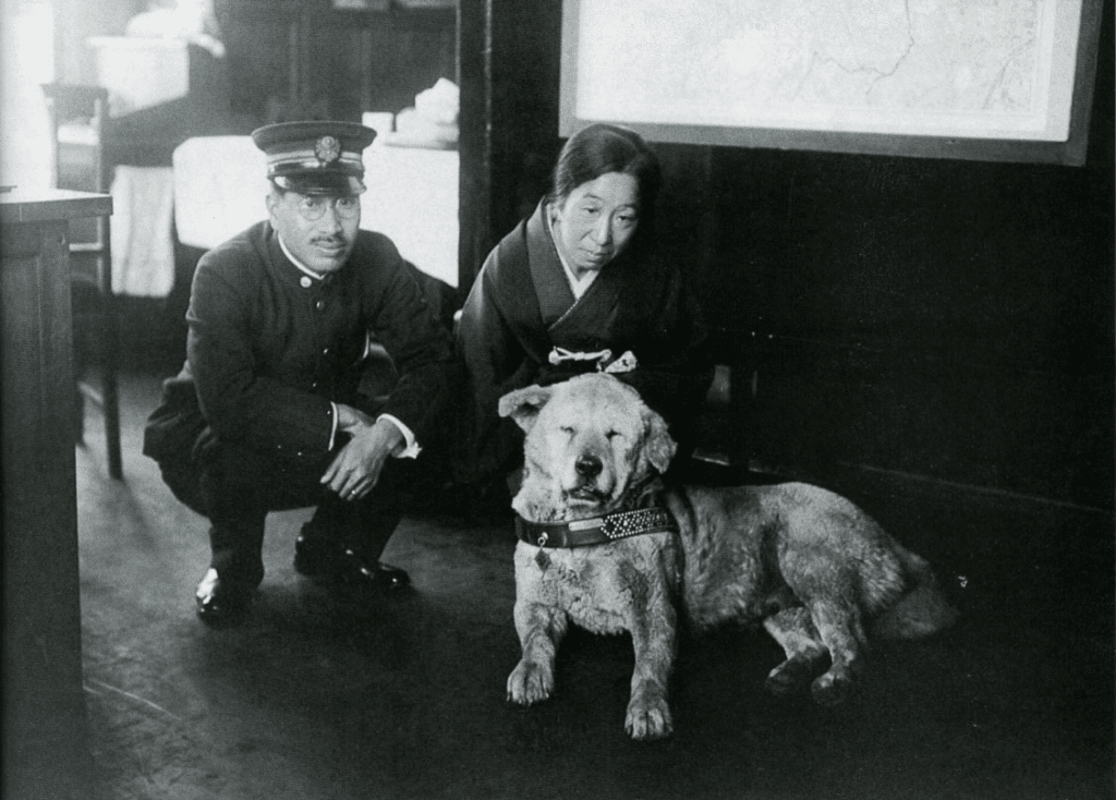 hachiko explanatory essay