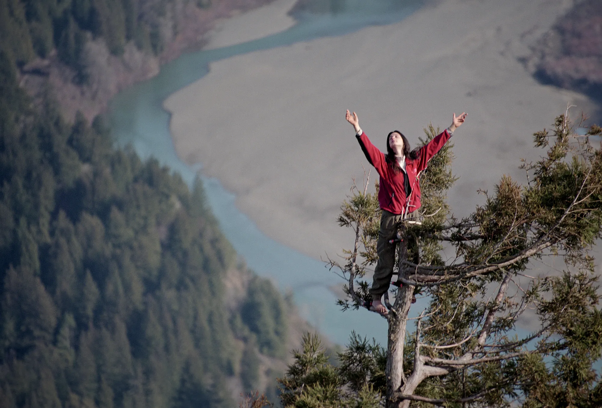 Julia Butterfly Hill: The Woman Who Lived in a Tree for 738 Days