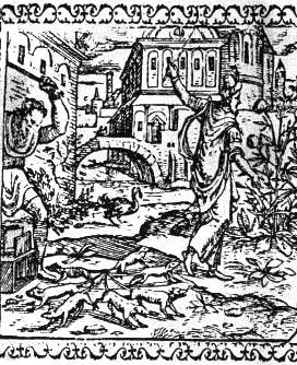 Rat Kings…What Are They, Really?. For those unfamiliar with the