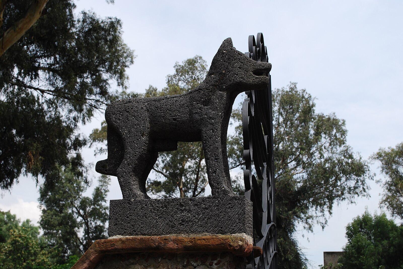 Ancient, Hairless Dog of the Gods the Xolo Dog