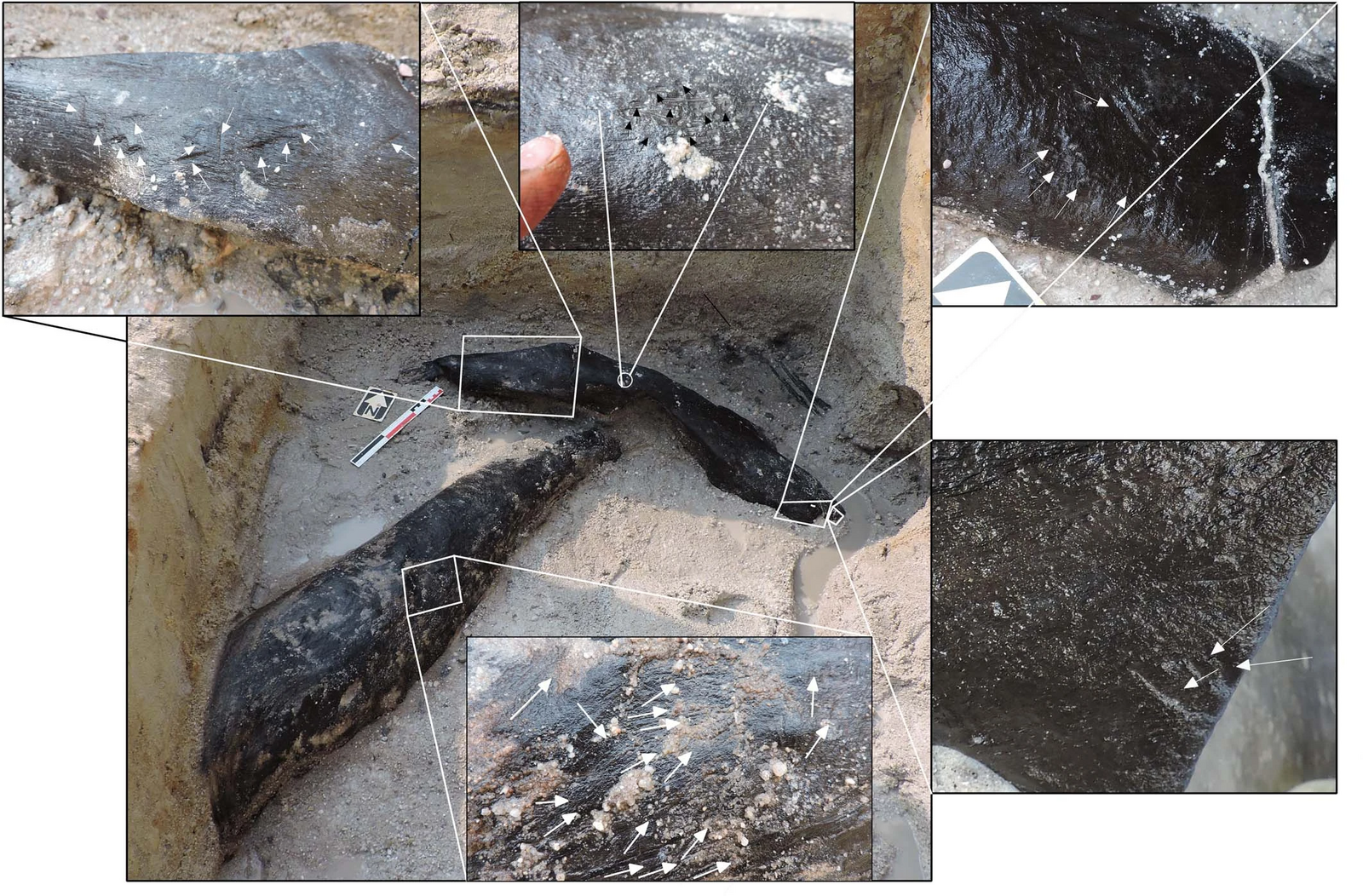 The Most Important Archaeological Discoveries of 2023