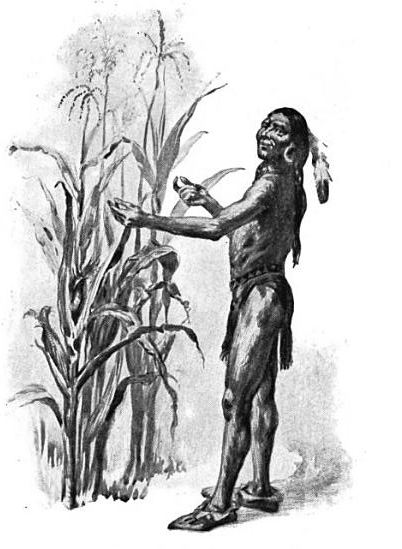 Squanto (Tisquantum) demonstrating corn he had fertilized by planting with fish