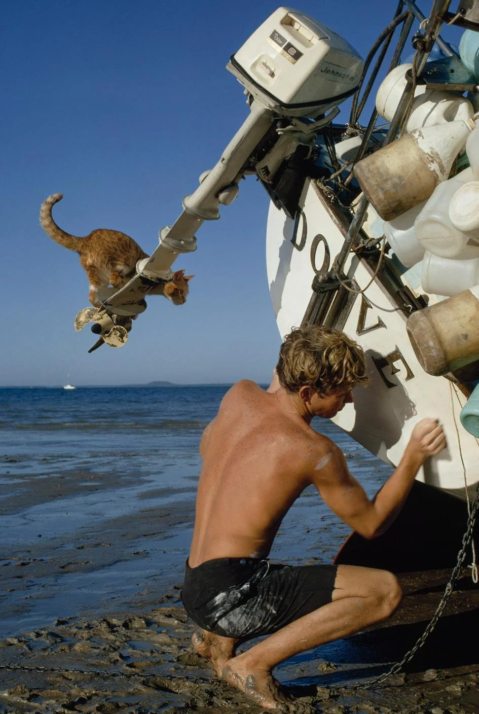 Robin Lee Graham sailed around the world with his cat