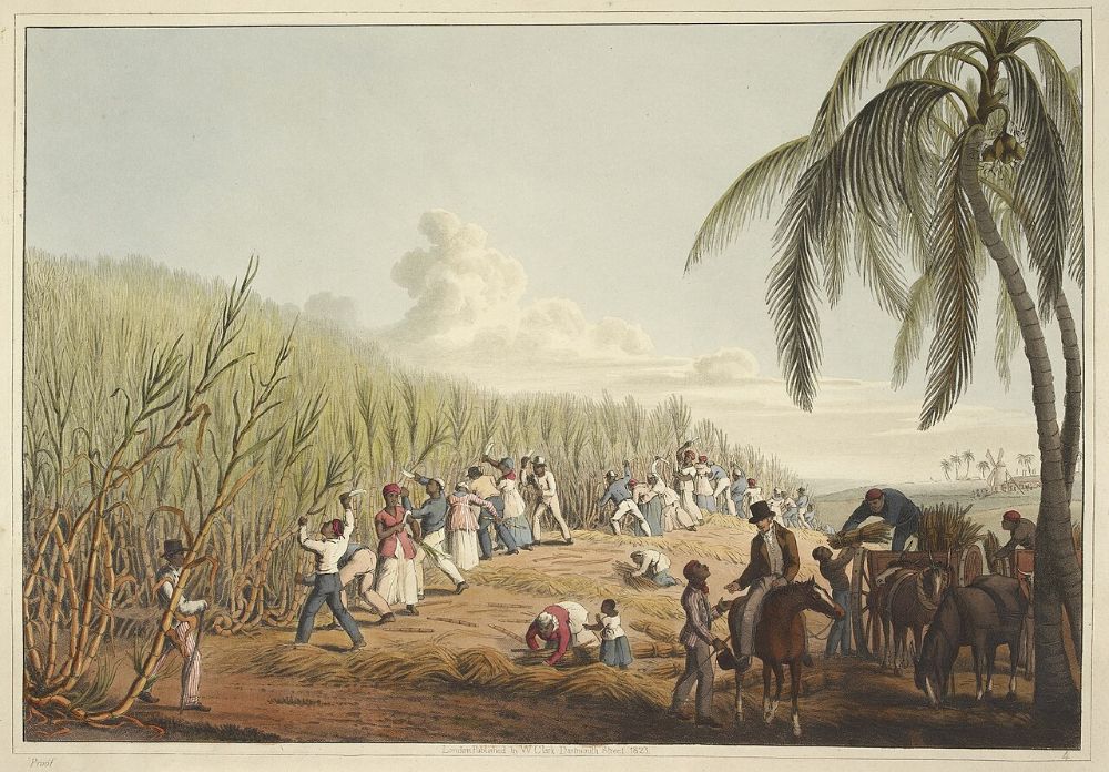 Hand-colored print of enslaved men and women cutting sugar cane in a field while a mounted overseer watches